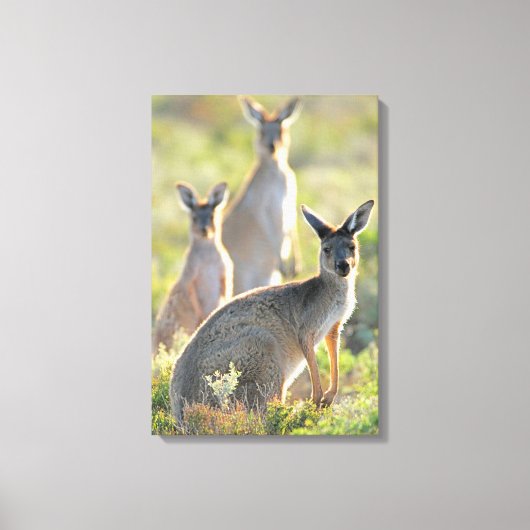WAT IS ER! 16x24 Canvas Afdruk (Voorkant)