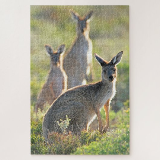 WAT IS ER! 20x30 INCH Legpuzzel (Verticaal)