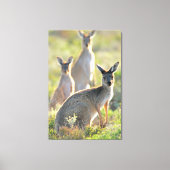 WAT IS ER! 32x48 Canvas Afdruk (Voorkant)