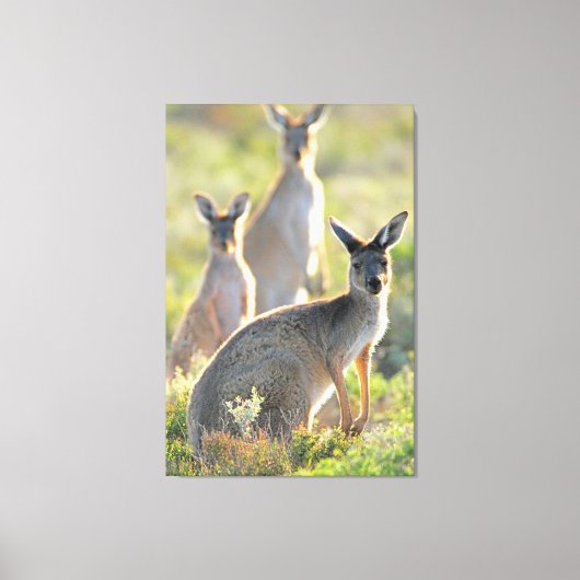 WAT IS ER! 32x48 Canvas Afdruk (Voorkant)