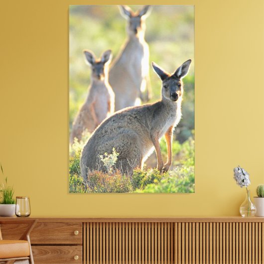 WAT IS ER! 32x48 Canvas Afdruk (Insitu (Woonkamer))