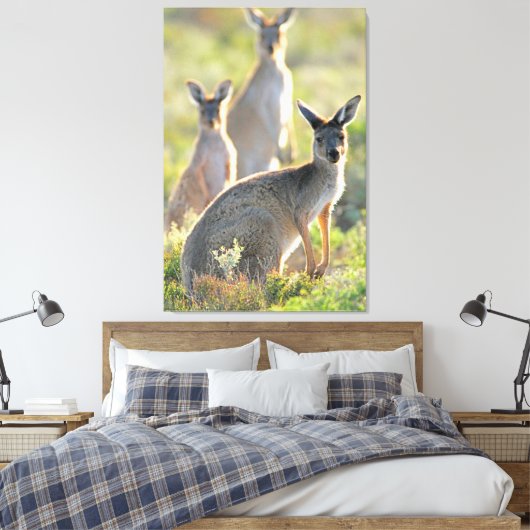 WAT IS ER! 32x48 Canvas Afdruk (Insitu (Slaapkamer))