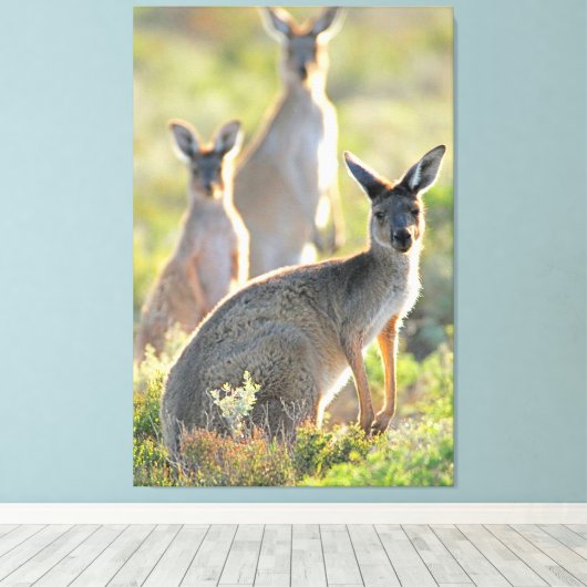 WAT IS ER! 32x48 Canvas Afdruk (Insitu (Houten vloer))