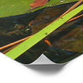 Wat is er beneden? poster (Hoek)