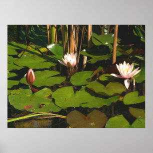 Wat is er beneden? poster