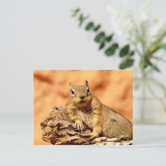 Wat is er? briefkaart (Staand voorkant)