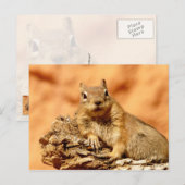 Wat is er? briefkaart (Voorkant / Achterkant)