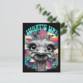 Wat is er? briefkaart (Staand voorkant)