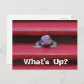 Wat is er? Briefkaart (Voorkant / Achterkant)