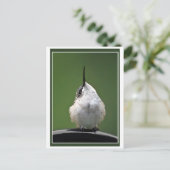 Wat is er? briefkaart (Staand voorkant)