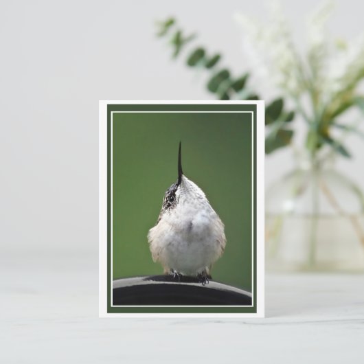 Wat is er? briefkaart (Staand voorkant)