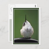 Wat is er? briefkaart (Voorkant / Achterkant)