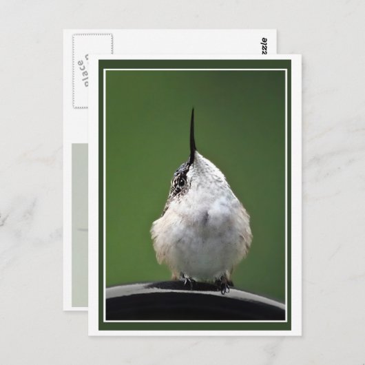 Wat is er? briefkaart (Voorkant / Achterkant)