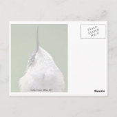 Wat is er? briefkaart (Achterkant)