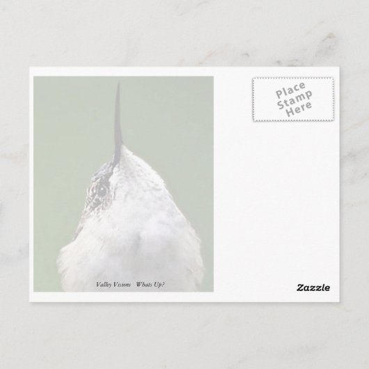 Wat is er? briefkaart (Achterkant)