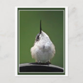 Wat is er? briefkaart (Voorkant)