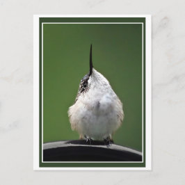 Wat is er? briefkaart