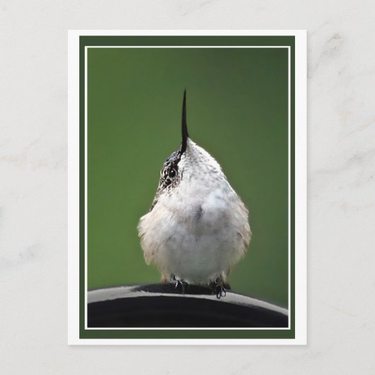 Wat is er? briefkaart (Voorkant)