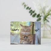 Wat is er? briefkaart (Staand voorkant)