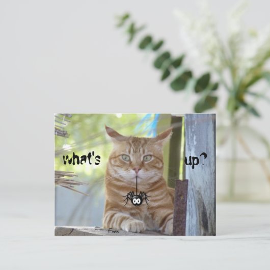 Wat is er? briefkaart (Staand voorkant)