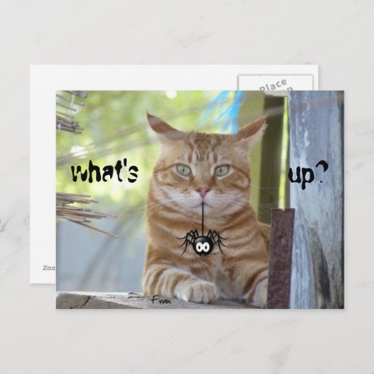 Wat is er? briefkaart (Voorkant / Achterkant)