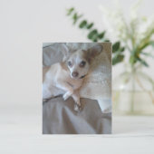 Wat is er? briefkaart (Staand voorkant)