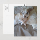 Wat is er? briefkaart (Voorkant / Achterkant)