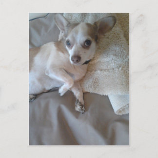 Wat is er? briefkaart