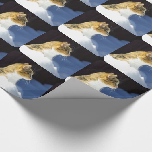 Wat is er? cadeaupapier (Hoek)