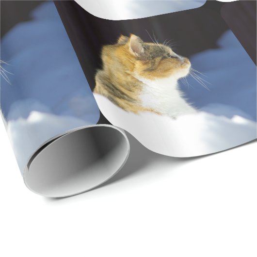 Wat is er? cadeaupapier (Rol Hoek)