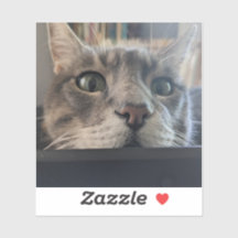 Wat is er, Cat? 3-inch vinyl Sticker