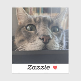 Wat is er, Cat? 3-inch vinyl Sticker