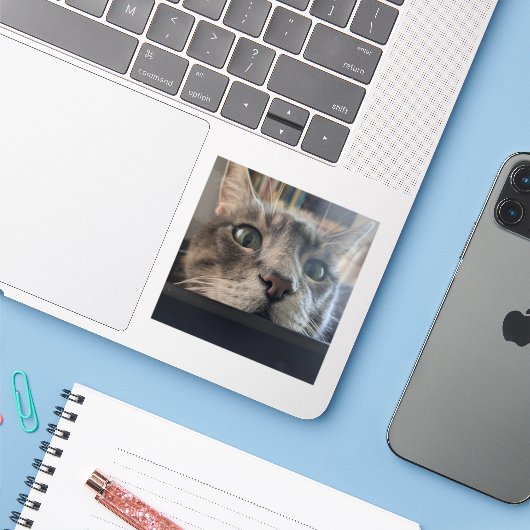 Wat is er, Cat? 3-inch vinyl Sticker (Laptop met iPhone)