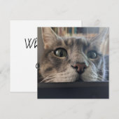 Wat is er, Cat? vierkant Wenskaart Feestdagenkaart (Voorkant / Achterkant)