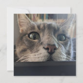 Wat is er, Cat? vierkant Wenskaart Feestdagenkaart (Voorkant)