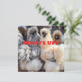 Wat is er, Chicken Butt Kaart (Staand voorkant)