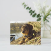 Wat is er? Cute Dachshund Briefkaart (Staand voorkant)