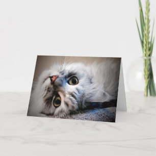 Wat is er?  Denk aan je creditcard Kaart