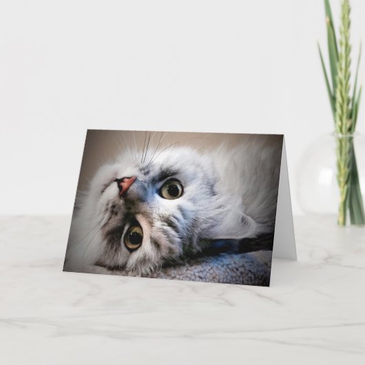 Wat is er?  Denk aan je creditcard Kaart (Voorkant)