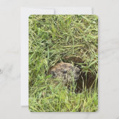 Wat is er? Enkele feestdagenkaart (Voorkant)