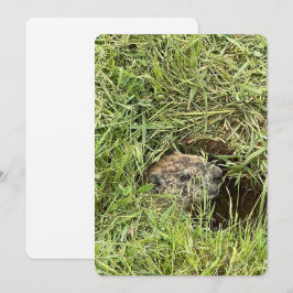 Wat is er? Enkele feestdagenkaart