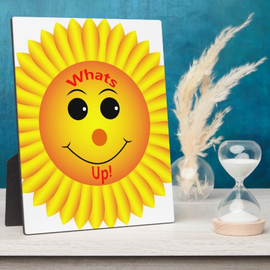 Wat is er? fotoplaat (Zijkant)