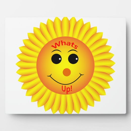 Wat is er? fotoplaat (Voorkant)