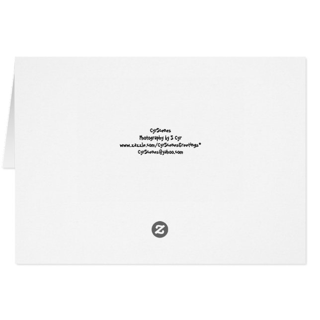 Wat is er? Funny Card (Achterkant Horizontaal)