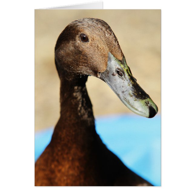 WAT IS ER GEDRAG? (Voorkant)