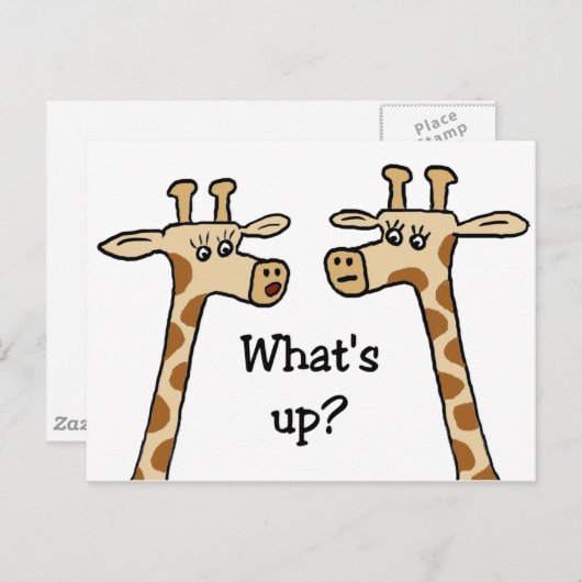 Wat is er? Giraffe briefkaarten (Voorkant / Achterkant)
