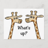 Wat is er? Giraffe briefkaarten (Voorkant)