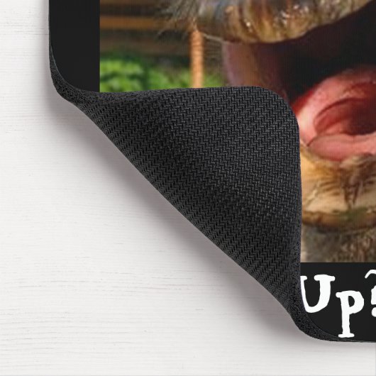 Wat is er in Ostrich? Muismat (Hoek)