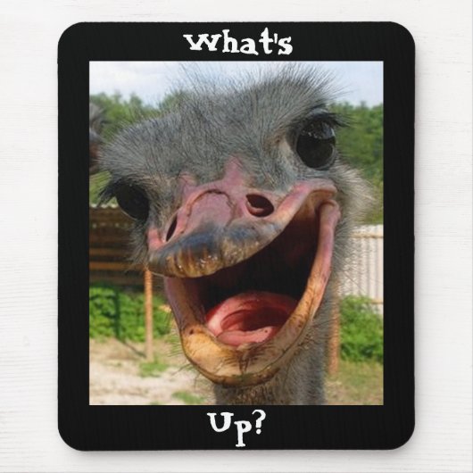 Wat is er in Ostrich? Muismat (Voorkant)