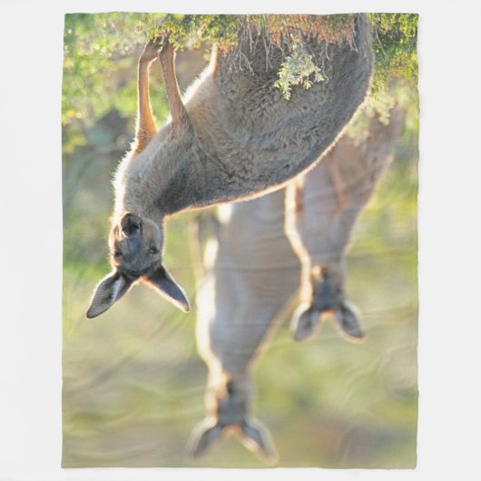 WAT IS ER! KANGOEROES FLEECE DEKEN (Voorkant)